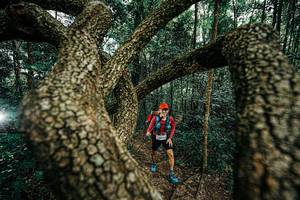 BIB: 
                            <button type="button" onclick="openModal(25393959)" class="btn btn-primary btn-sm float-right btn-popup" data-toggle="modal" data-target=".modal-high-quality">
                        <i class="fas fa-shopping-cart"></i> Add to Cart
                    </button>
                                            <button type="button" onclick="isThisMe(25393959, true)" class="btn btn-success btn-sm float-right btn-popup btn-isme hidden" data-toggle="tooltip" data-placement="bottom" title="นี่คือรูปของคุณใช่ไหม คลิกที่นี่เพื่อเอาเข้าอัลบั้ม">
                        <i class="fas fa-plus"></i> Add to album
                    </button>
                    <button type="button" onclick="isThisMe(25393959, false)" class="btn btn-warning btn-sm float-right btn-popup btn-isnotme hidden">
                        <i class="fas fa-ban"></i> Remove from album
                    </button>